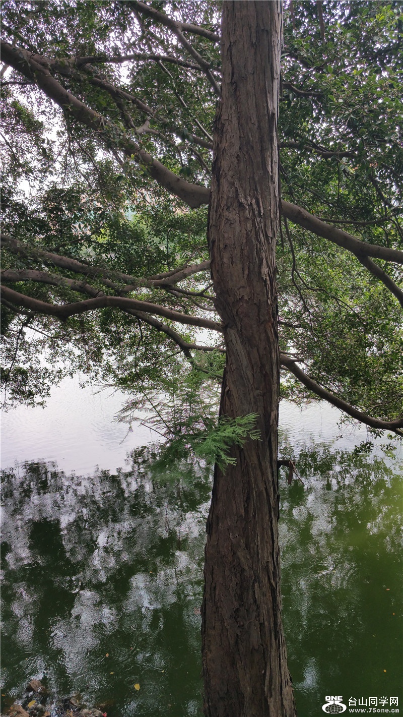 20150610_110735.jpg