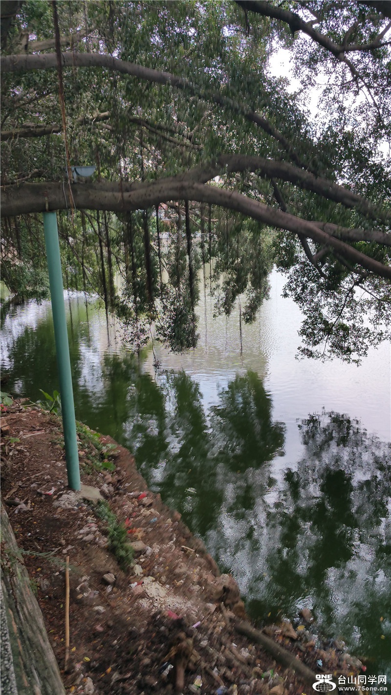 20150610_110732.jpg
