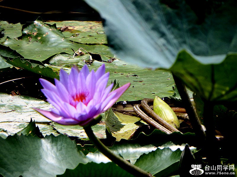 DSC_5429.jpg