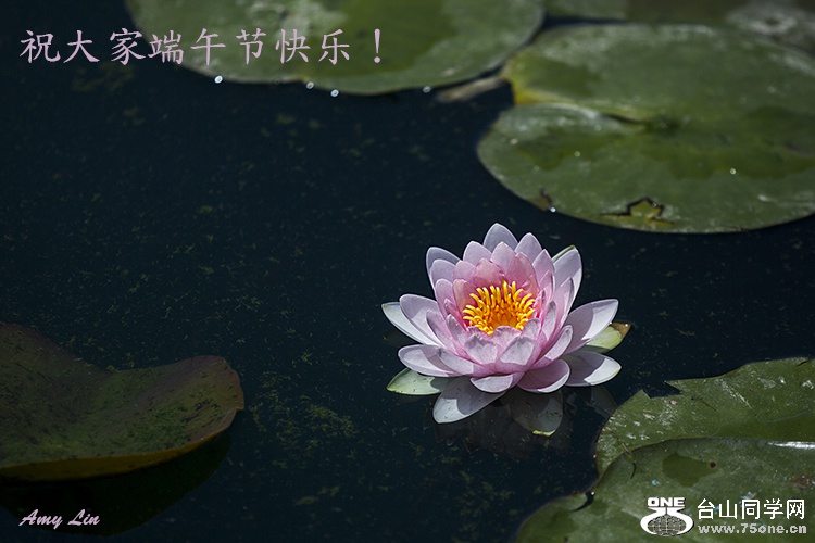 IY7A1019-2-2.jpg