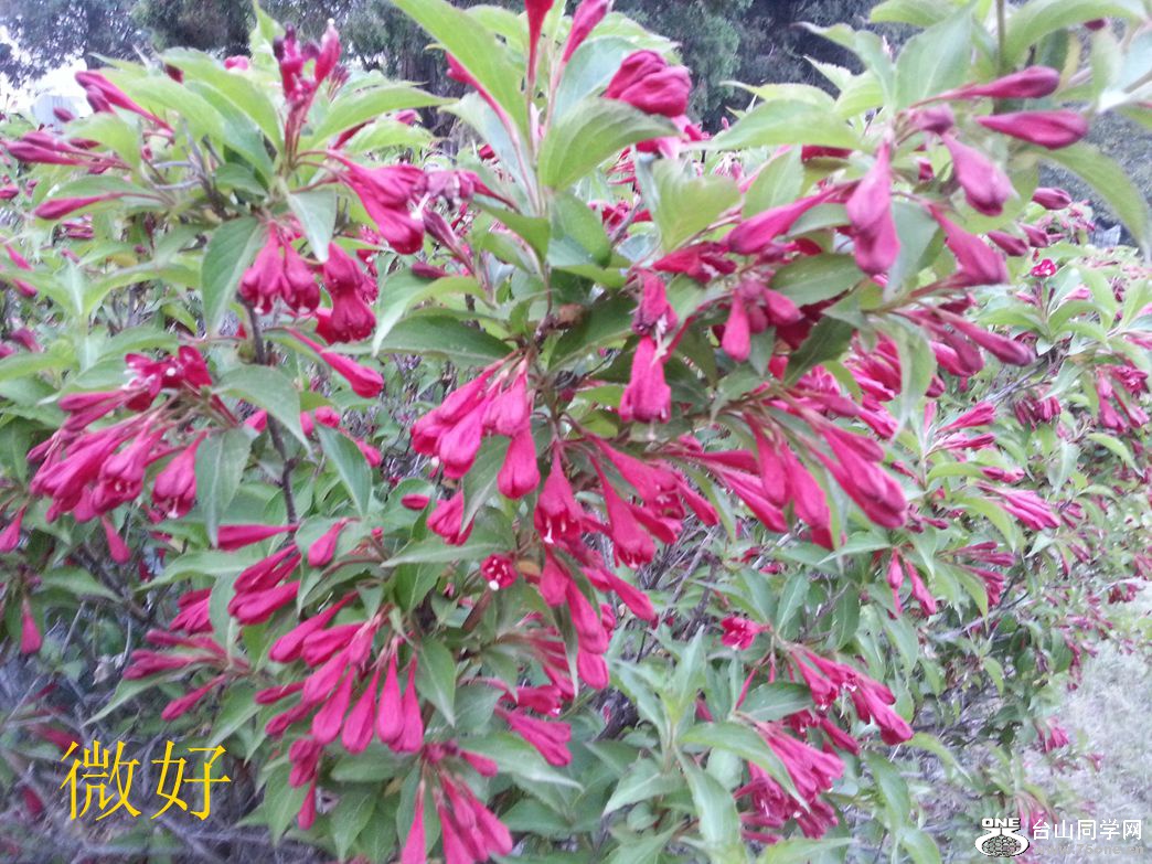 20150522_185325_.jpg