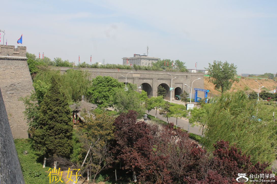 IMG_1635_.jpg