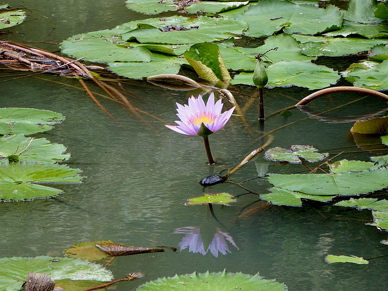 DSC_5360.jpg