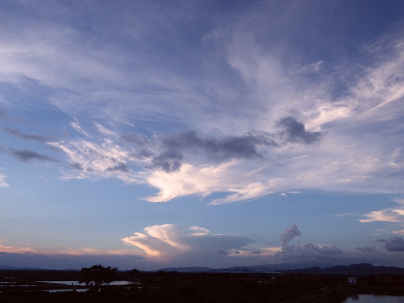 DSC_0406.jpg