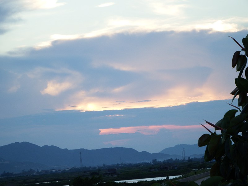DSC_0415.jpg