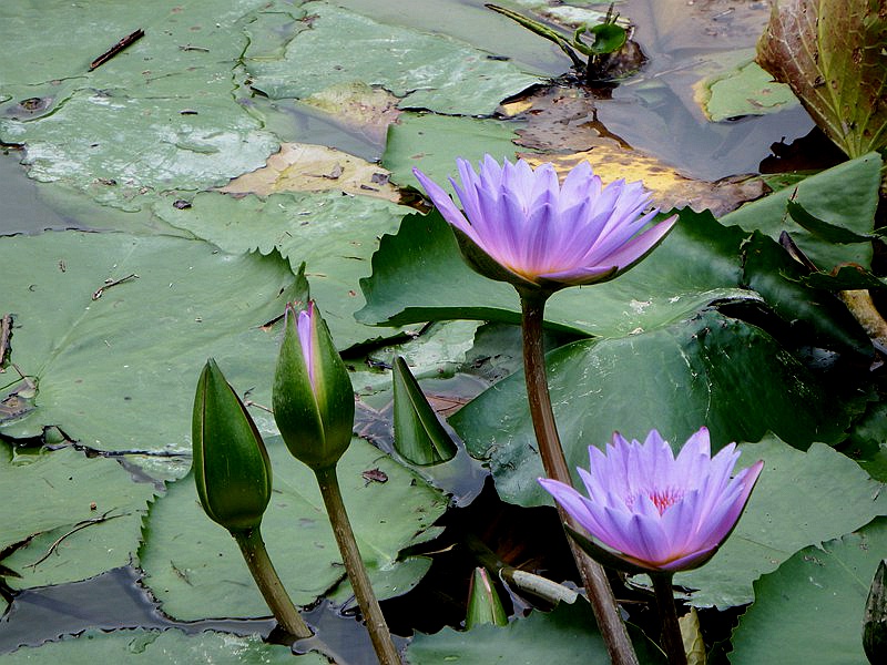 DSC_5361.jpg