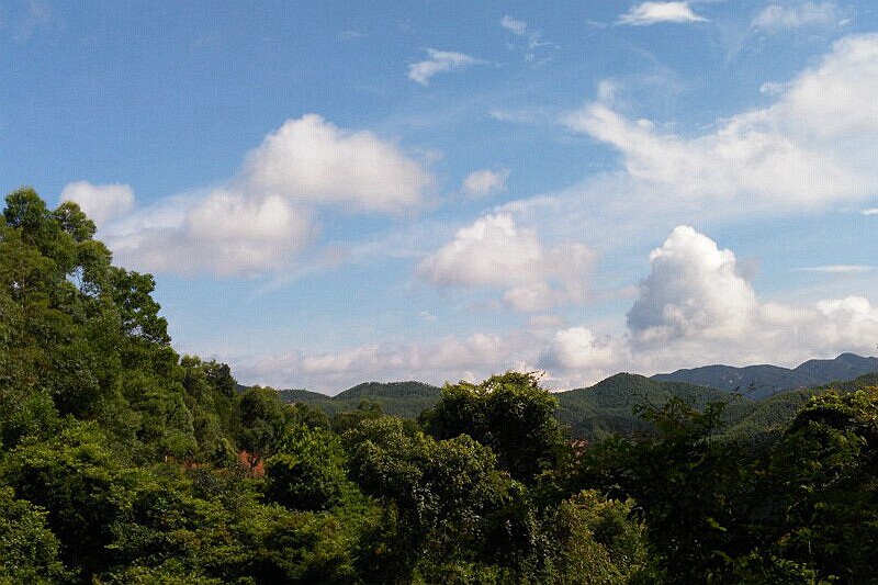 DSC_0009.jpg