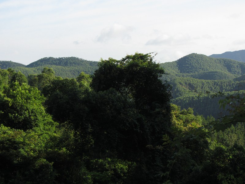 DSC_0301.jpg