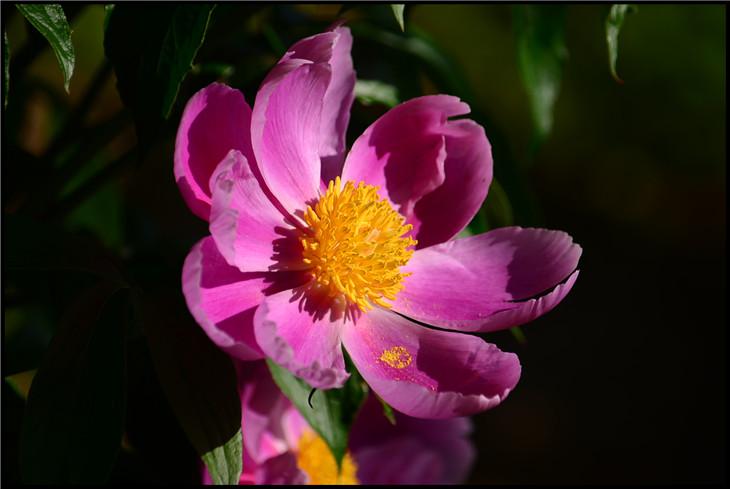 DSC_2360.jpg