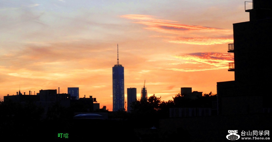 DSC06741a_1.jpg