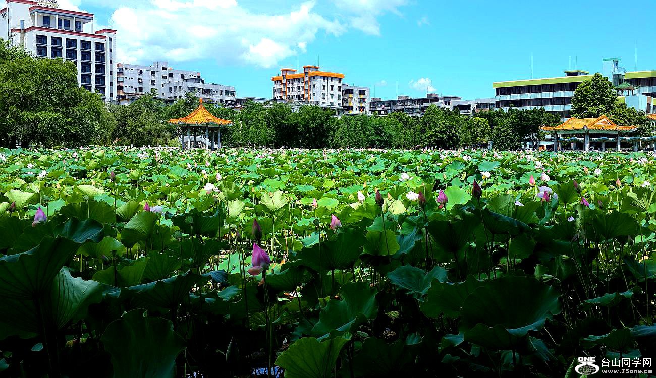20150620_144241.jpg