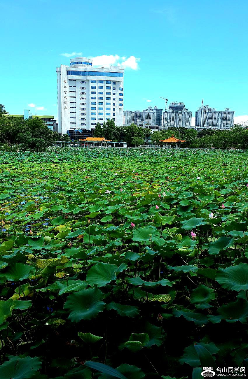 20150620_142500.jpg