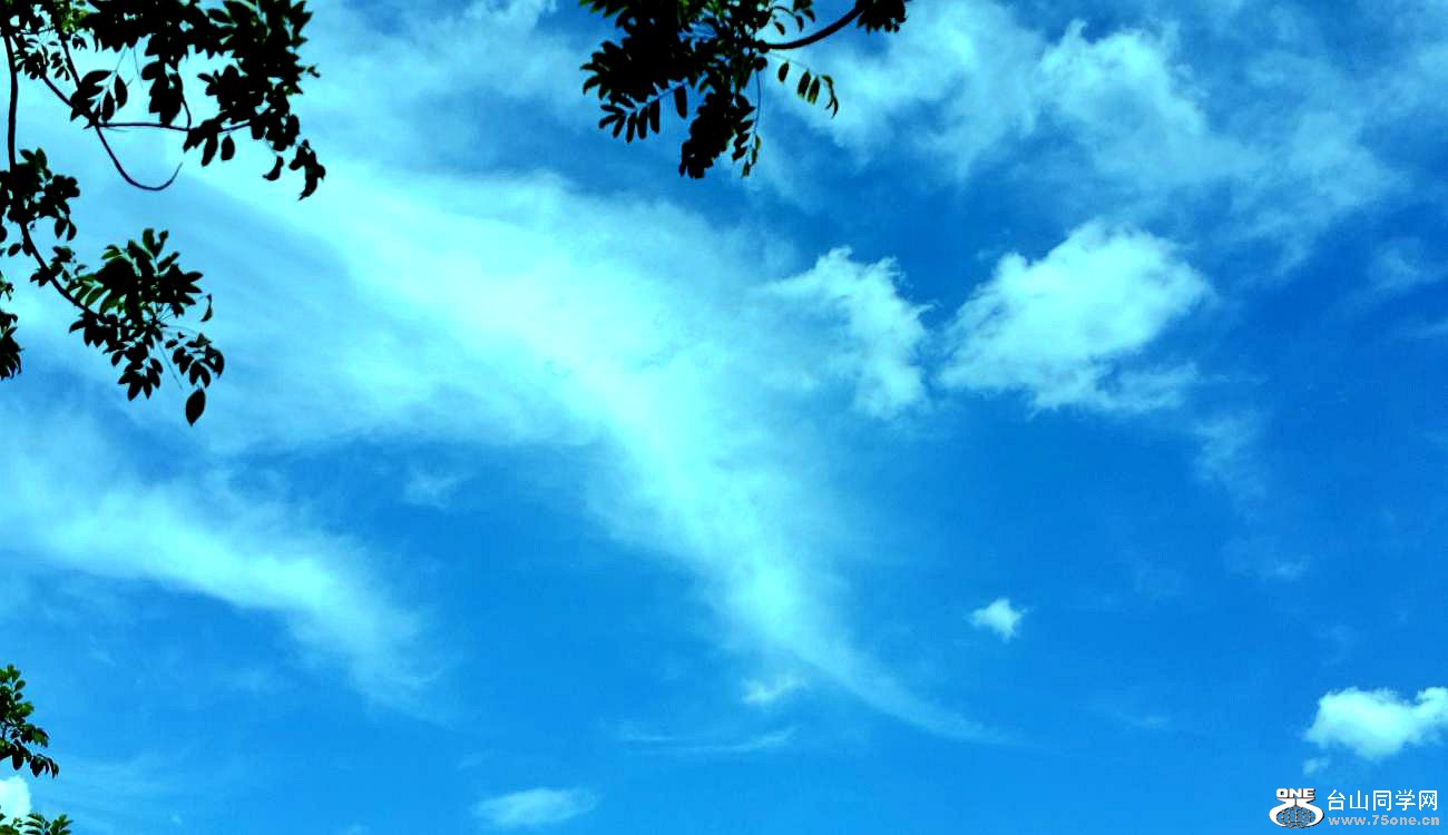 20150620_143313.jpg