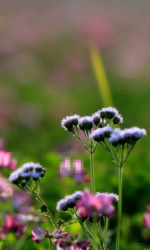 IMG_9944__.jpg