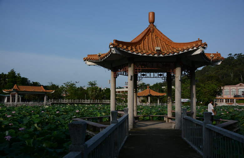 DSC_7011_1.JPG
