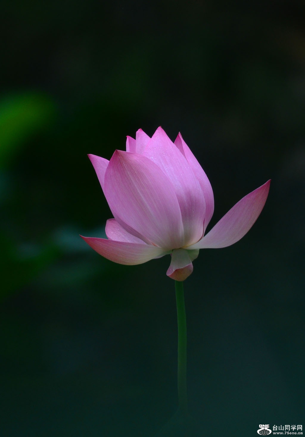 DSC_9183.JPG