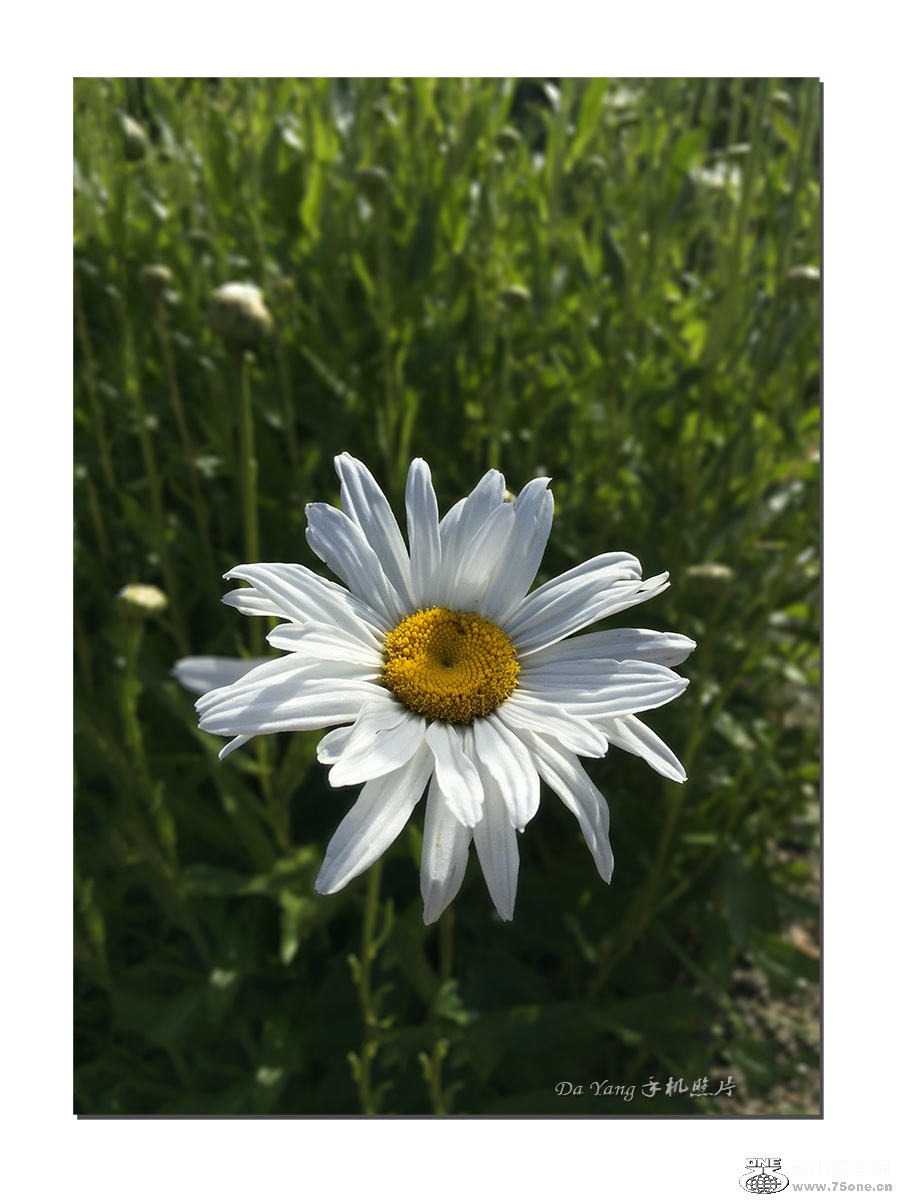 QQͼƬ20150615002042-1.jpg