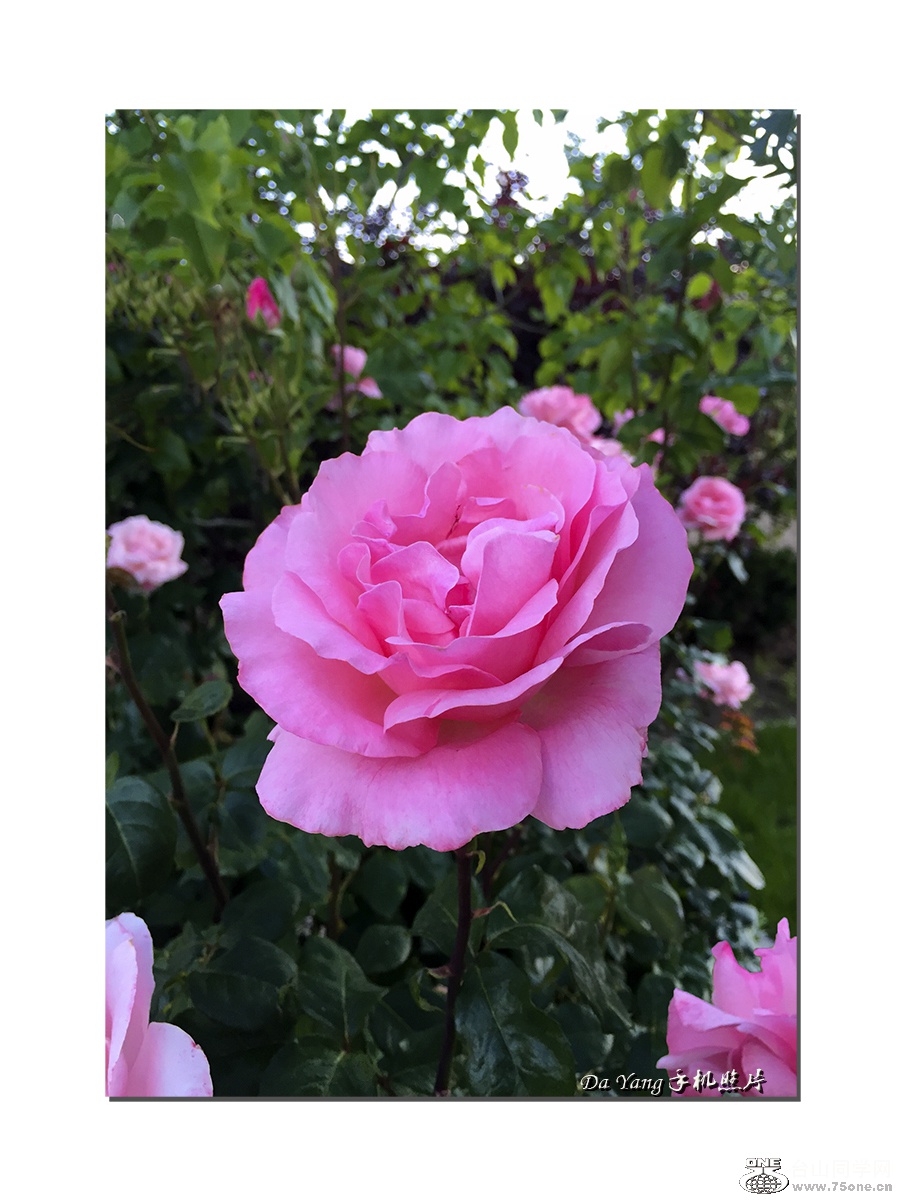 QQͼƬ20150606134917-1.jpg