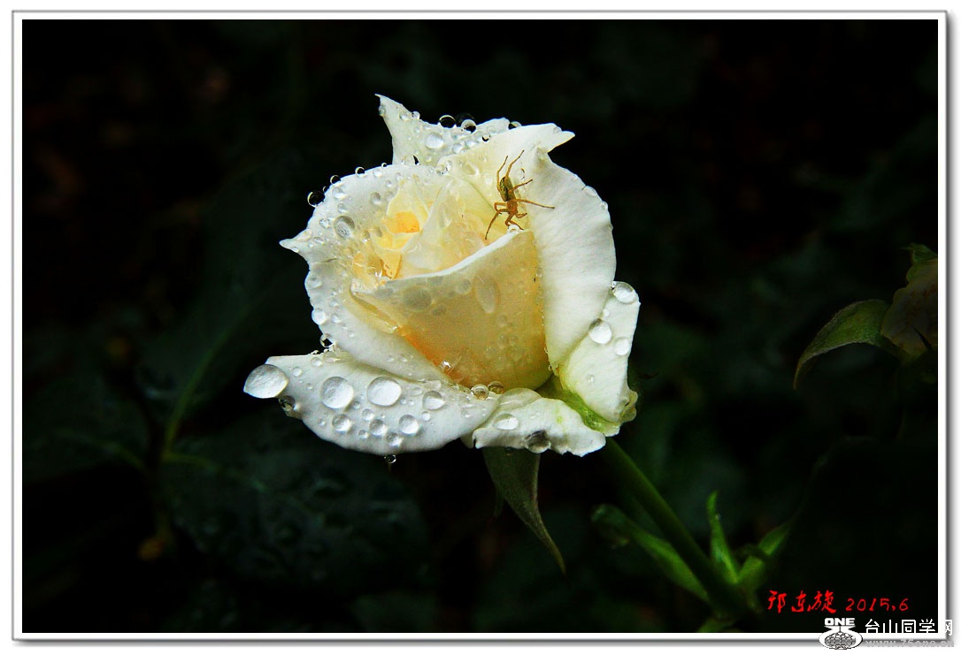 ŵػ037.jpg