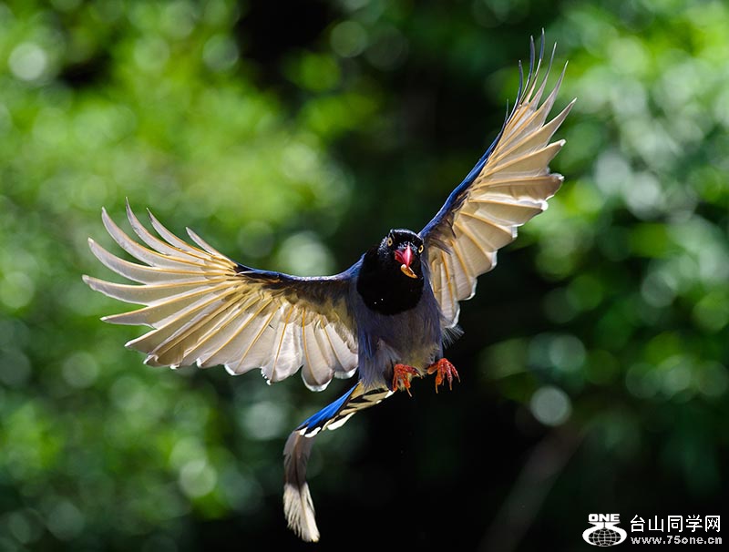 ����������һ�����!