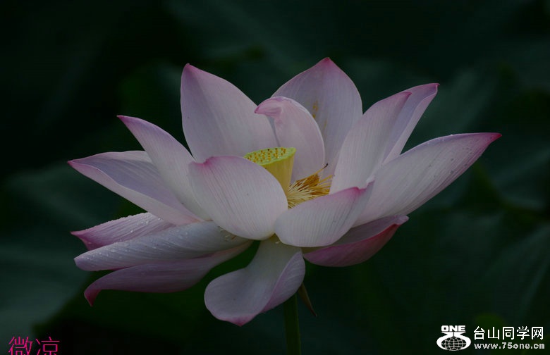 DSC_5899_1.JPG