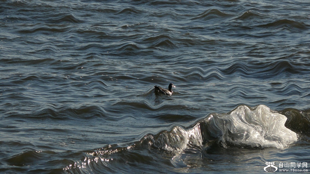 l2310895_conew1.jpg