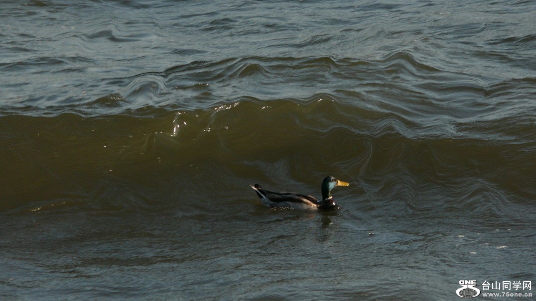 l2310890_conew1.jpg