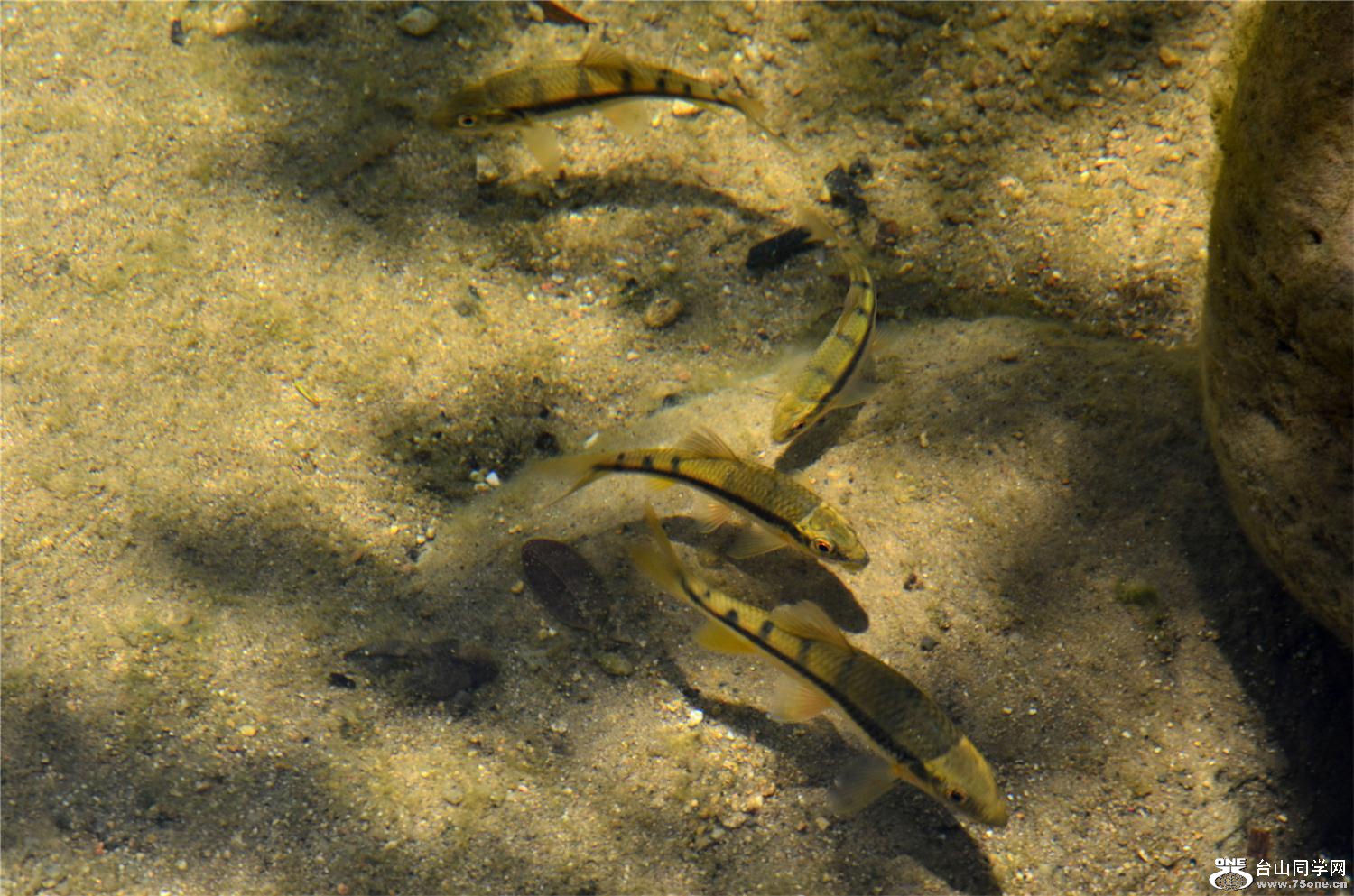 DSC_3007_ͼ.jpg