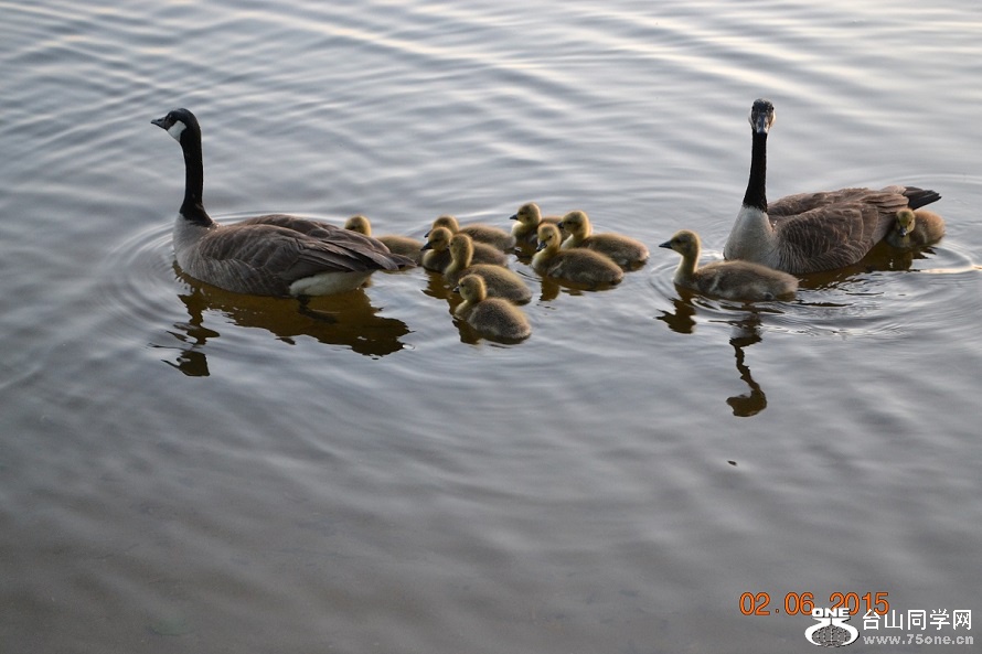 DSC_0133.JPG