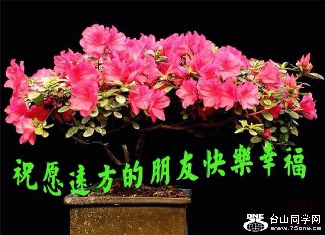 QQͼƬ20150220221739.jpg