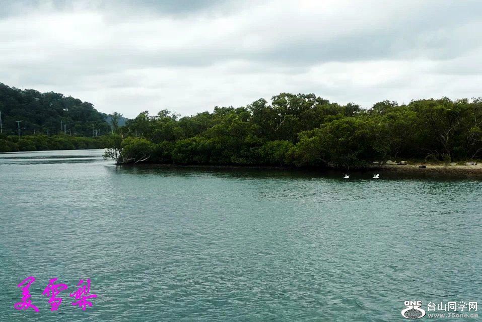 DSC_6263_conew1.jpg