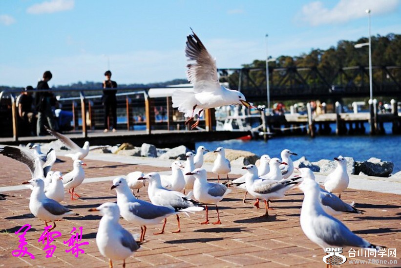 DSC_0440_conew1.jpg