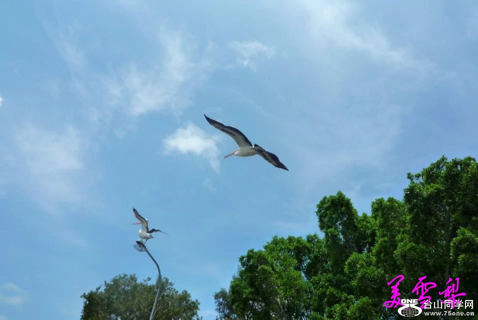 DSC_6248_conew1.jpg