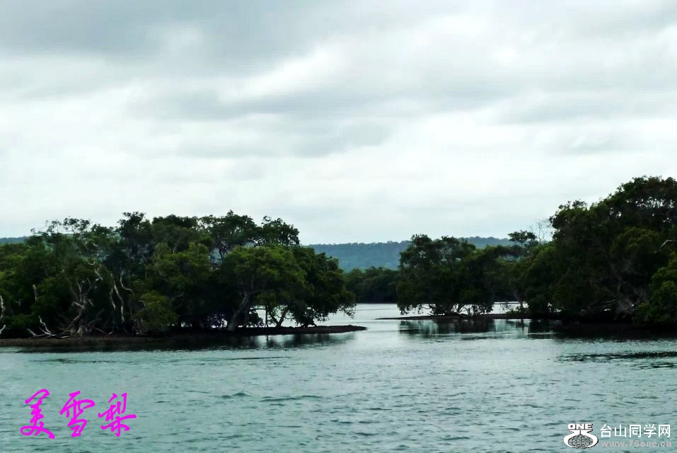 DSC_6265_conew1.jpg