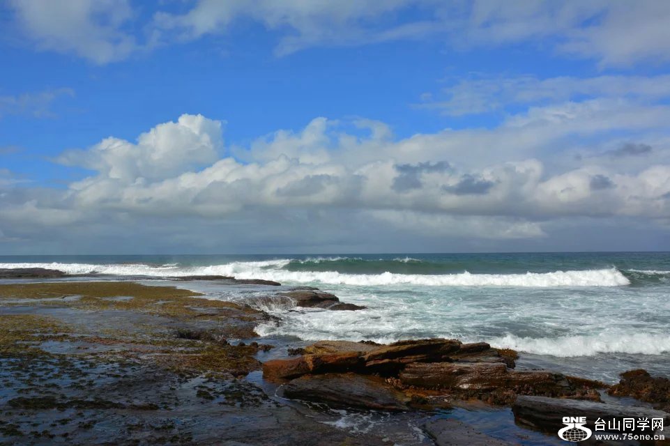 DSC_5170.jpg