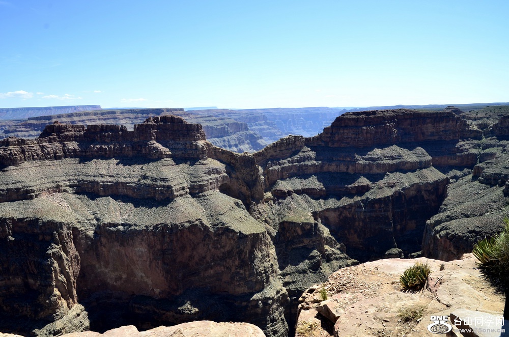 _DSC6040.jpg