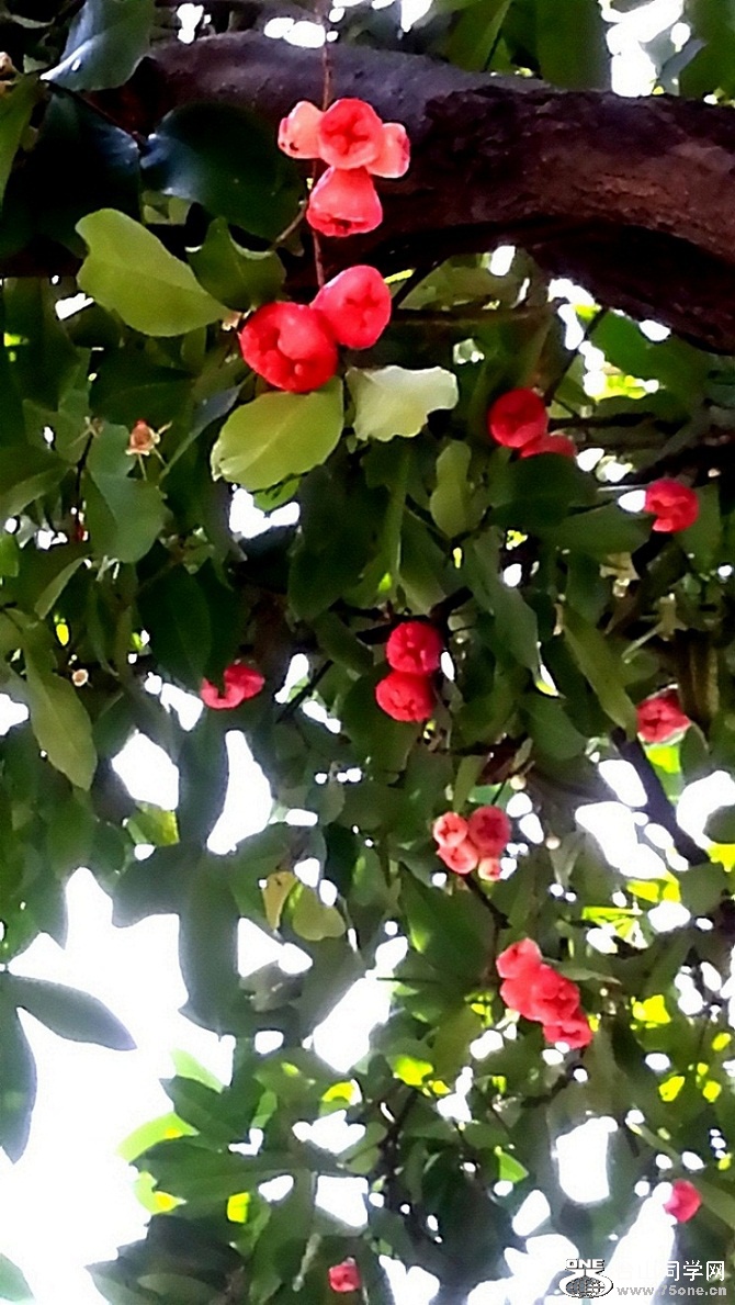 20150617_091923_LLS_.jpg