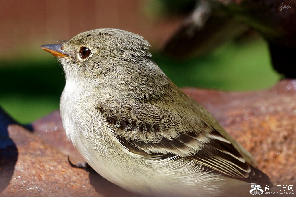 DSC05910=.jpg