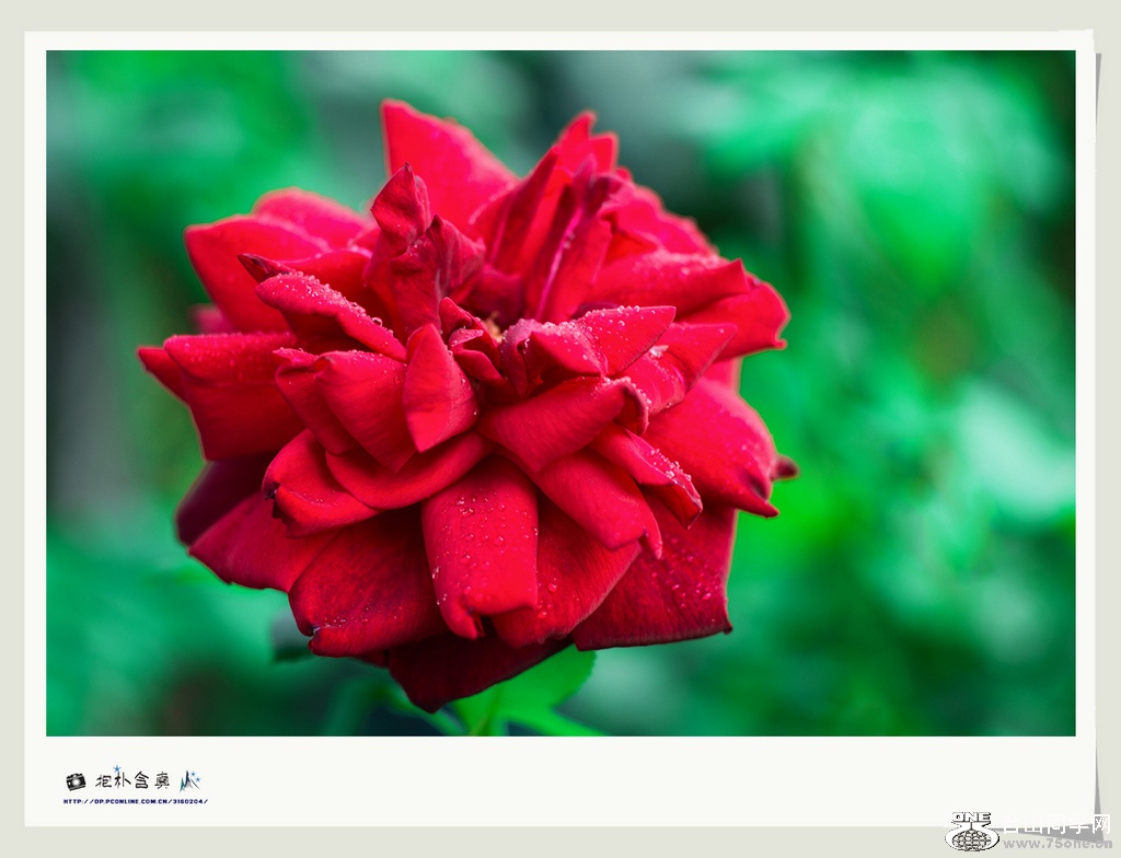 DSC_6299s.jpg
