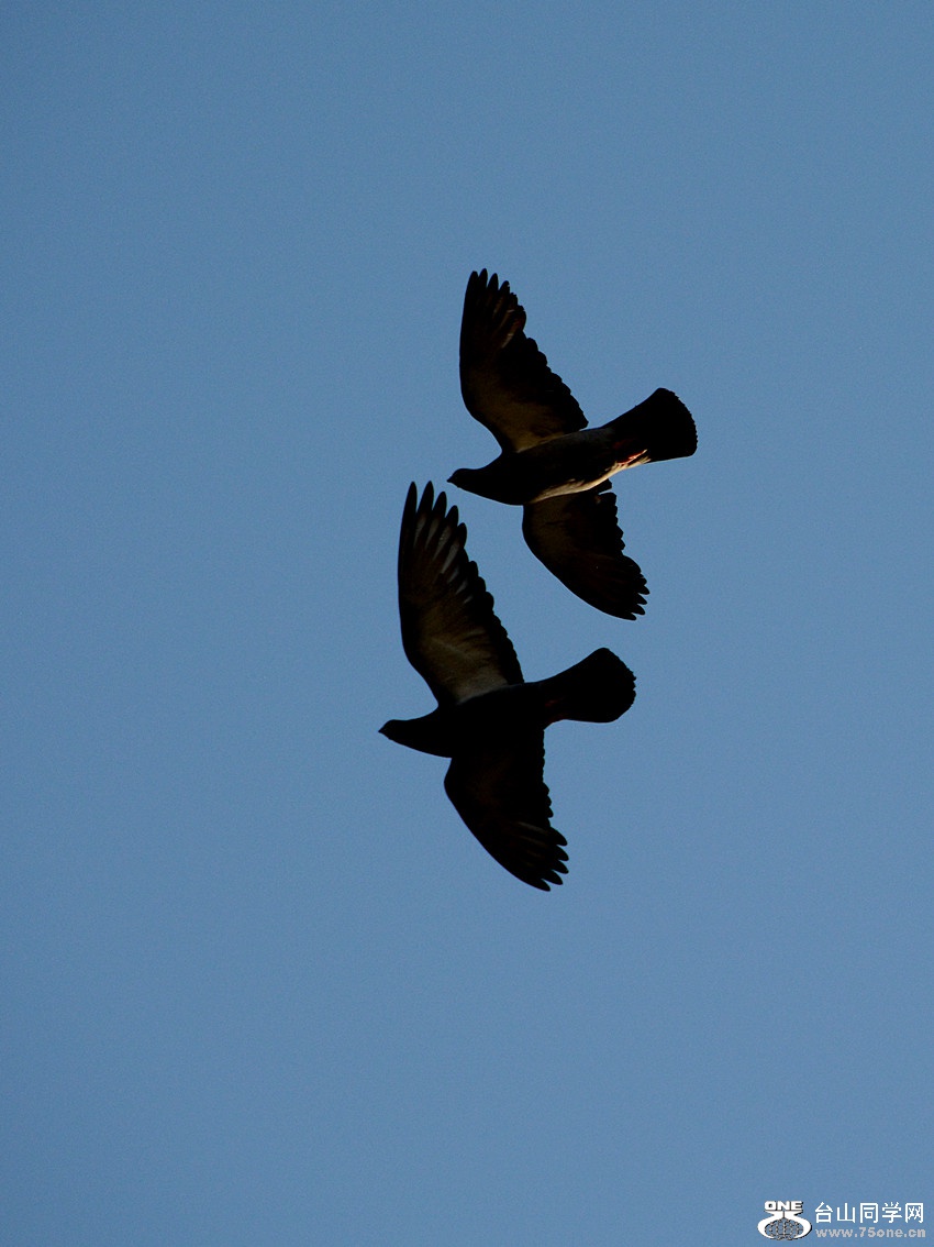 DSC_4164_4.jpg