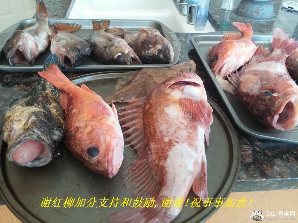谢红柳加分支持和鼓励,谢谢!祝事事如意!.jpg
