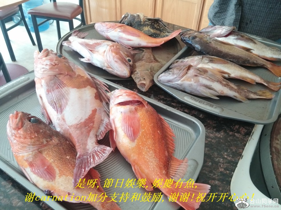 是呀,節日娛樂,娛慶有魚,谢carnation加分支持和鼓励,谢谢!祝开开心心!.jpg