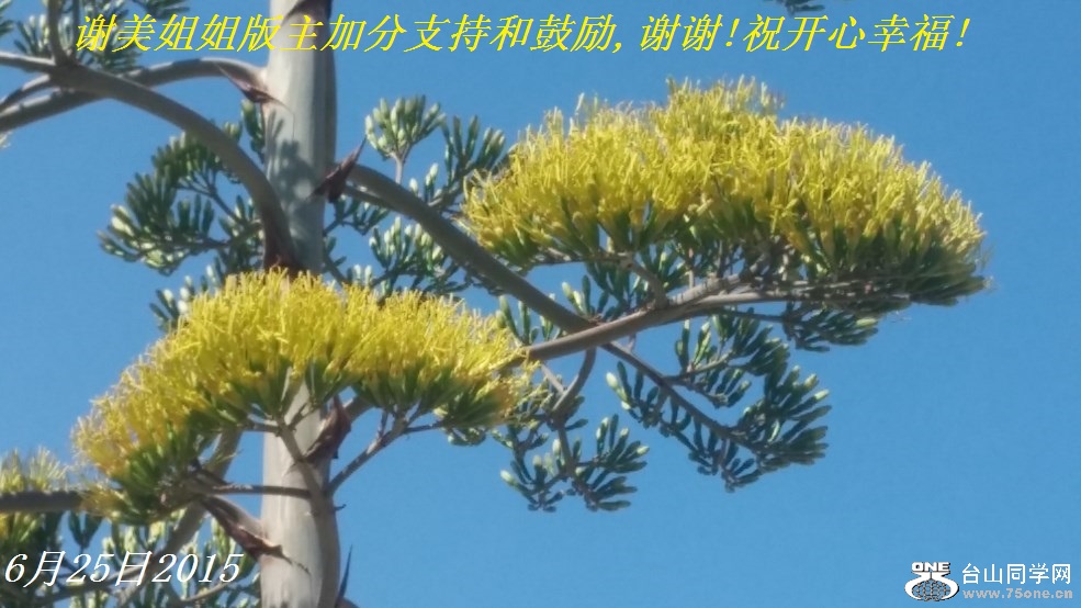 лӷֺ֧͹,лл!ףҸ!.jpg