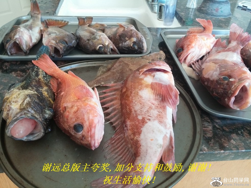 谢远总版主夸奖,加分支持和鼓励,谢谢!祝生活愉快!.jpg