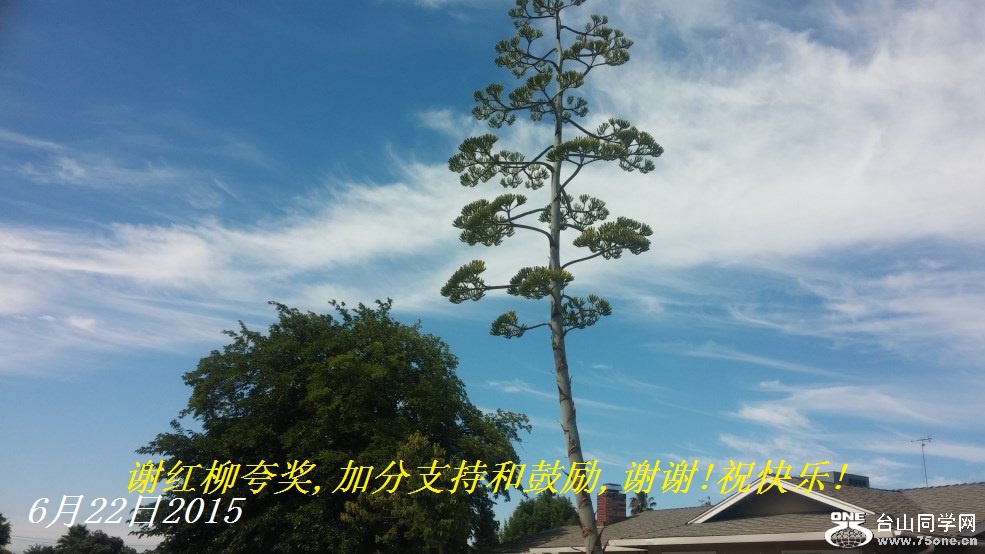 谢红柳夸奖,加分支持和鼓励,谢谢!祝快乐!.jpg
