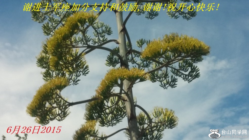 лʿӷֺ֧͹,лл!ףĿ!.jpg