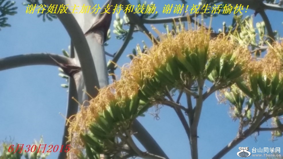 谢谷姐版主加分支持和鼓励,谢谢!祝生活愉快!.jpg