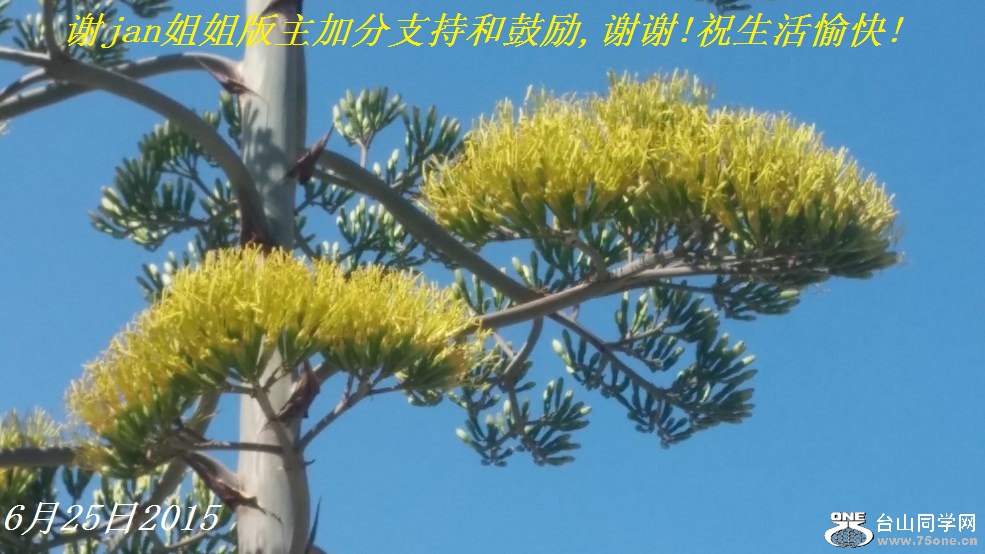 谢jan姐姐版主加分支持和鼓励,谢谢!祝生活愉快!.jpg