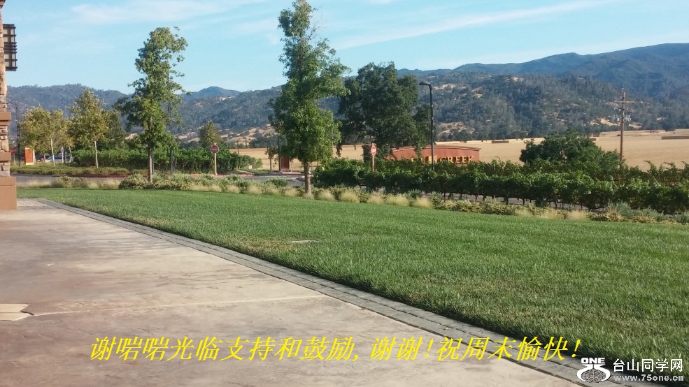 谢啱啱光临支持和鼓励,谢谢!祝周末愉快!.jpg