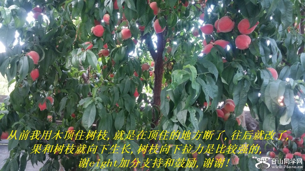 лeightӷֺ֧͹,лл!.jpg